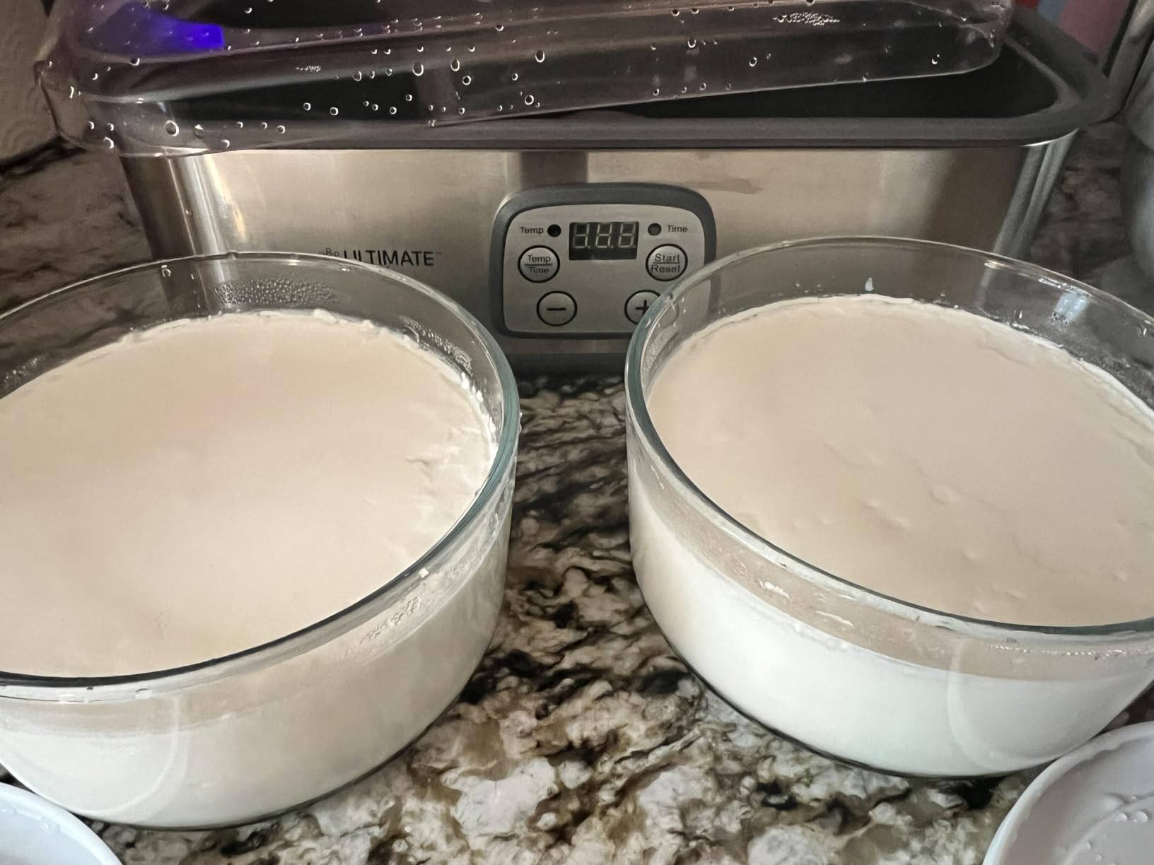 Ultimate Probiotic Yogurt Maker with Adjustable Time & Temperature Control, Make Trillions of Probiotics for Better Gut Health, Two 1-Quart Containers for Larger Batches, UNLIMITED LIFETIME WARRANTY customer photo 2