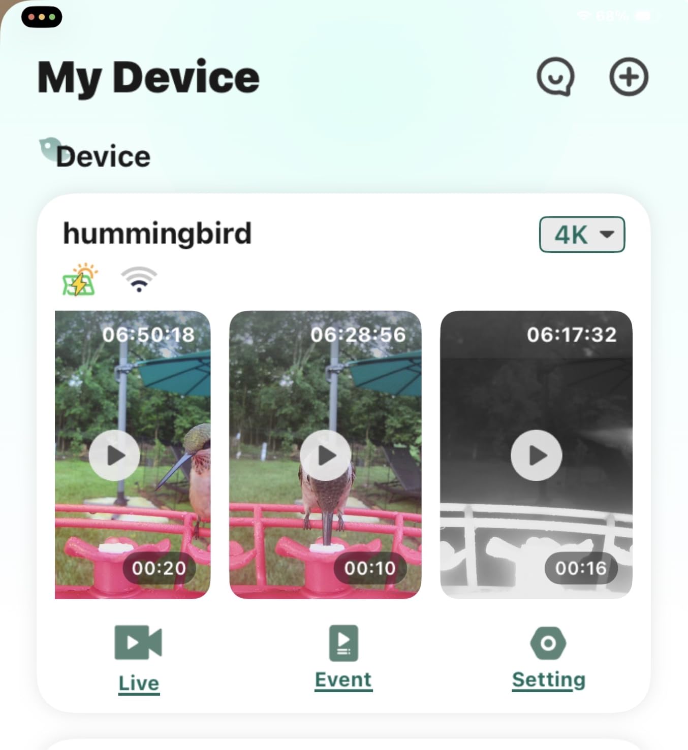 4K Hummingbird Feeder with Camera,No Subscription,Solar Powered customer photo 1