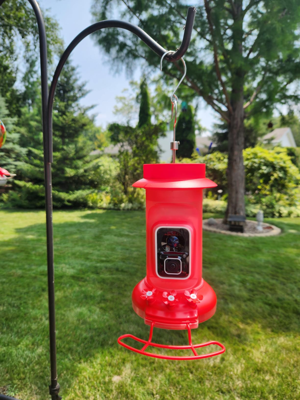 4K Hummingbird Feeder with Camera,No Subscription,Solar Powered customer photo 2