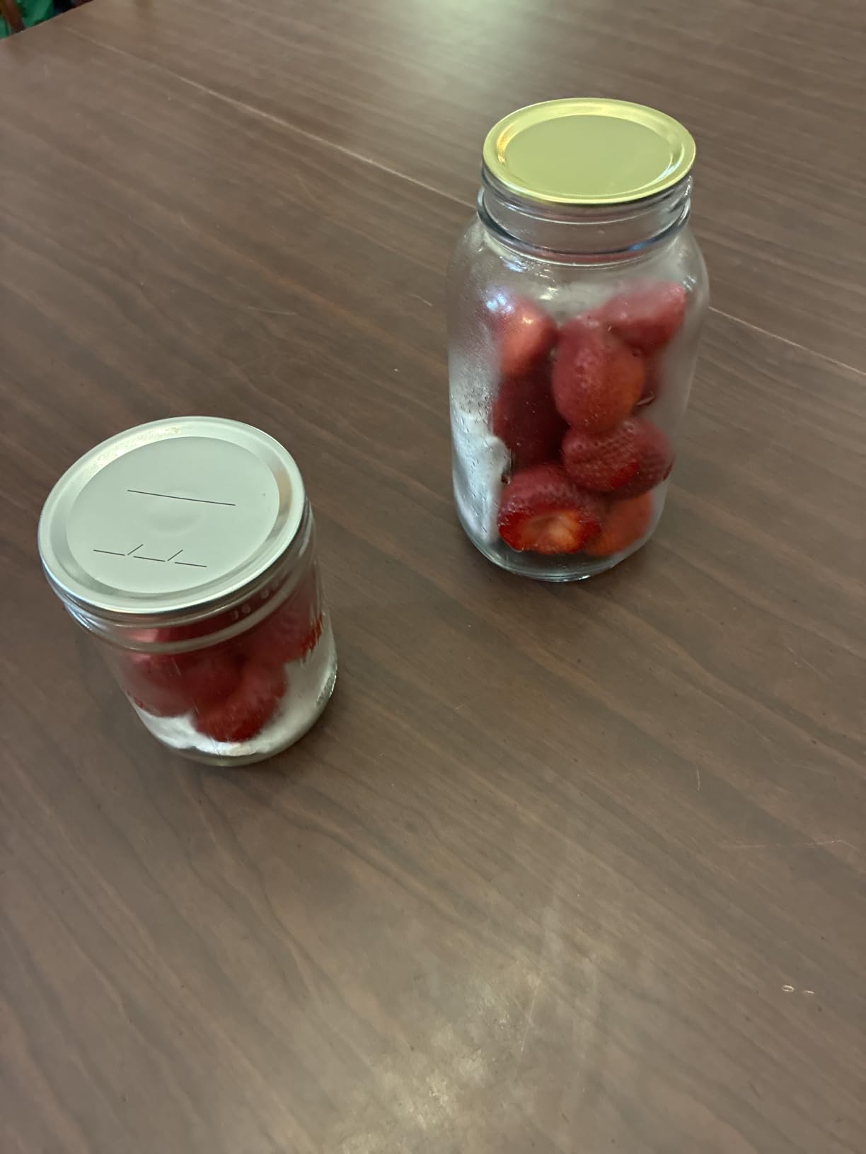 Electric Mason Jar Vacuum Sealer Kit with Wide & Regular Mouth Mason Lids customer photo 1