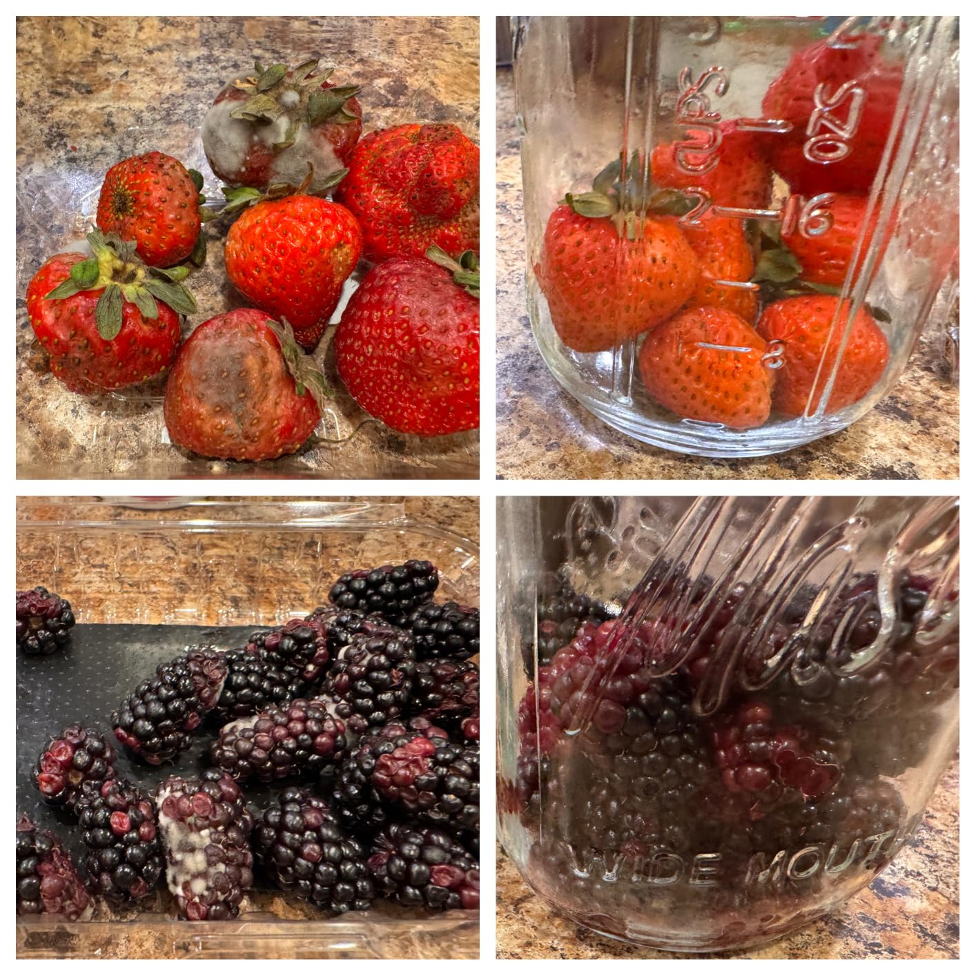 Electric Mason Jar Vacuum Sealer Kit with Wide & Regular Mouth Mason Lids customer photo 2
