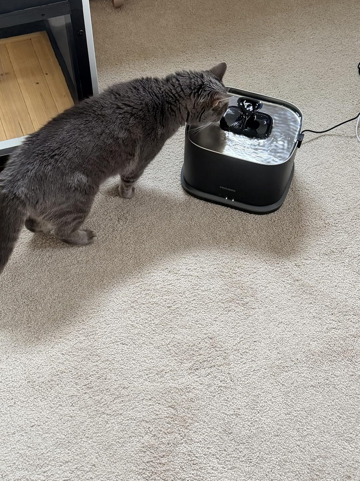 PETLIBRO Cats Water Fountain for Multi Cats, Cat Fountain with RFID Recognition Each Pet, 3L/101oz Pump-Free Cat Water Fountain Stainless Steel Tray, 2.4G Wi-Fi APP Pet Water Fountain x2 Collar Tags customer photo 1