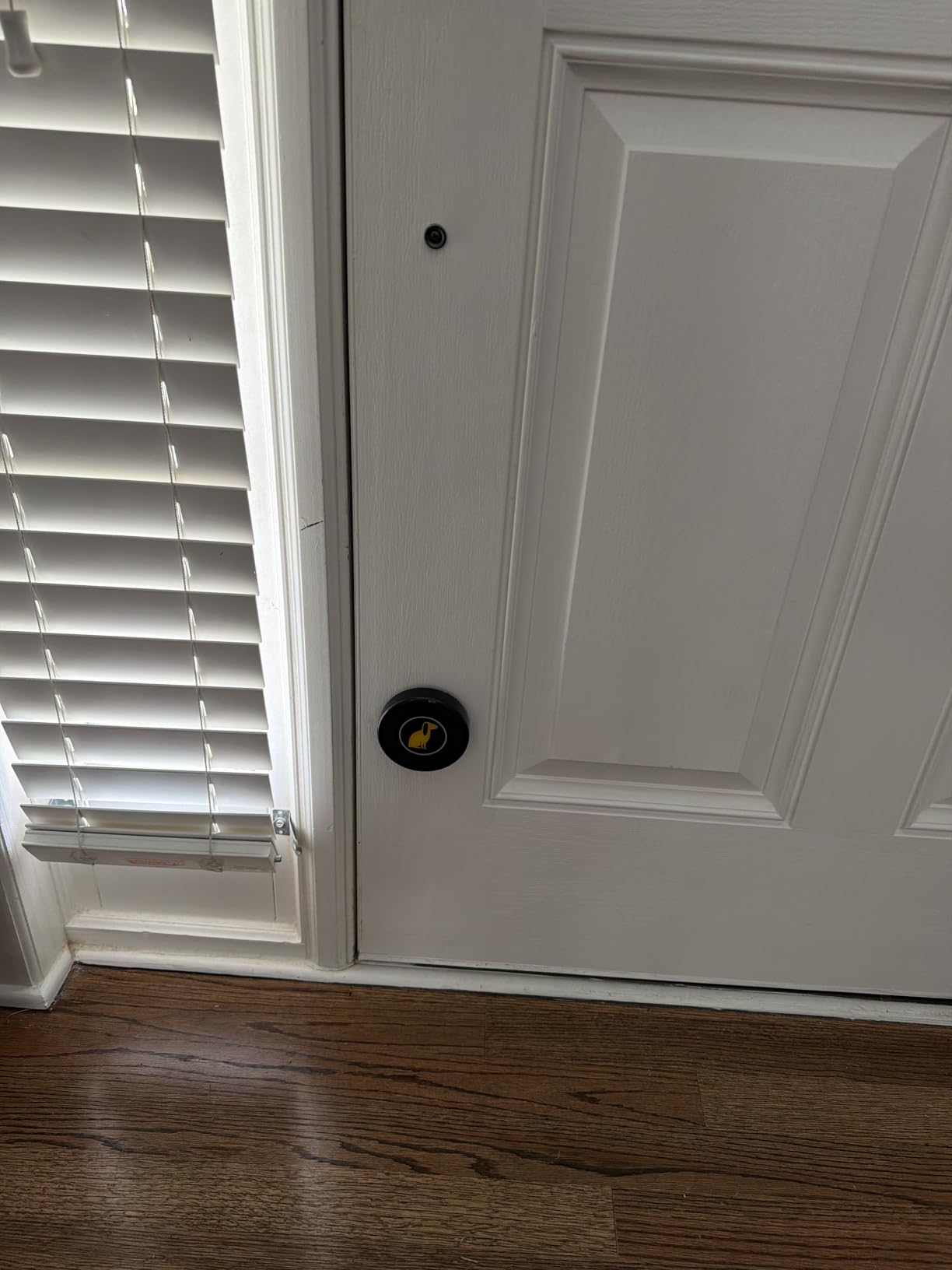 TECKNET Dog Door Bell, Dog Bells to Go Outside with 55 Melodies, 1000 Feet Range, 5 Volume (0-120dB) & 2 Modes, IP65 Waterproof, Dog Bell with 1 Receiverand 2 Transmitters, Black customer photo 1