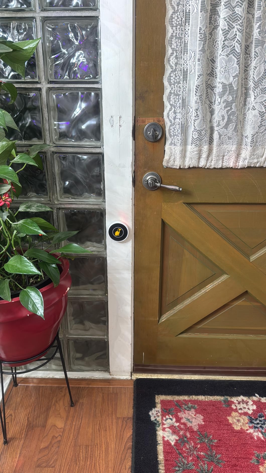 TECKNET Dog Door Bell, Dog Bells to Go Outside with 55 Melodies, 1000 Feet Range, 5 Volume (0-120dB) & 2 Modes, IP65 Waterproof, Dog Bell with 1 Receiverand 2 Transmitters, Black customer photo 2