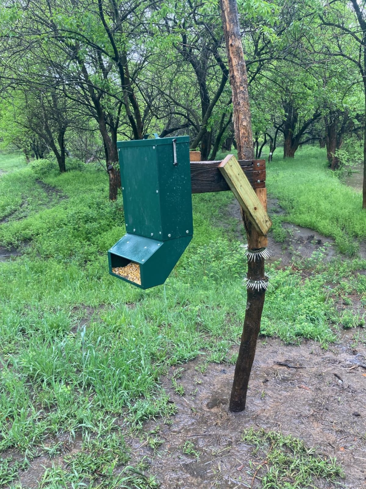90-110lb Deer Feeder, Heavy Duty Metal Hunting Game Feeder customer photo 2