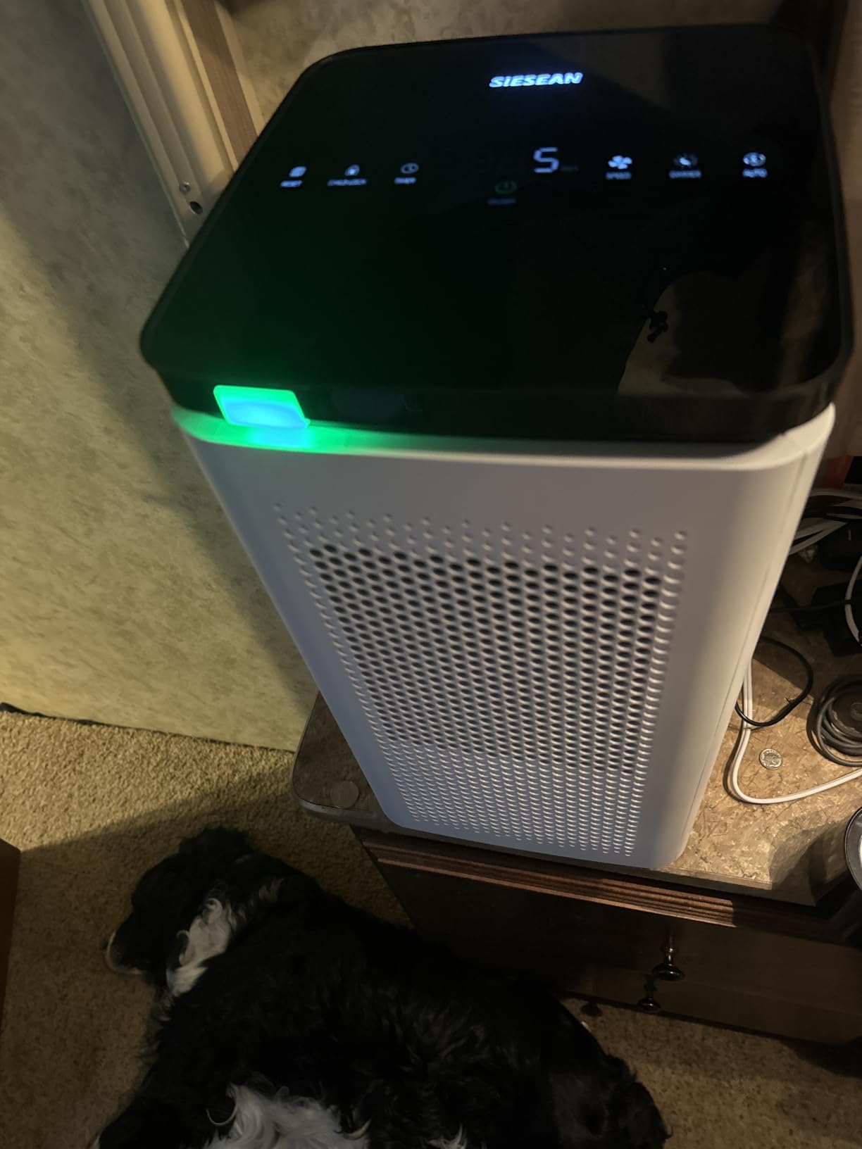 Air Purifiers for Home Large Room Up to 4200 Ft², 289 CADR, 20dB Sleep Mode customer photo 2