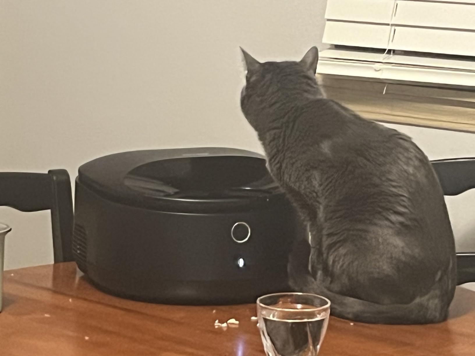 PETLIBRO Automatic Wet Food Cat Feeder 2026 New Version with Semiconductor Cooling, Refrigerated 3 Fresh Meals in 3 Days, App-Controlled Pet Food Dispenser, Stainless Steel Bowl, Easy to Clean customer photo 2