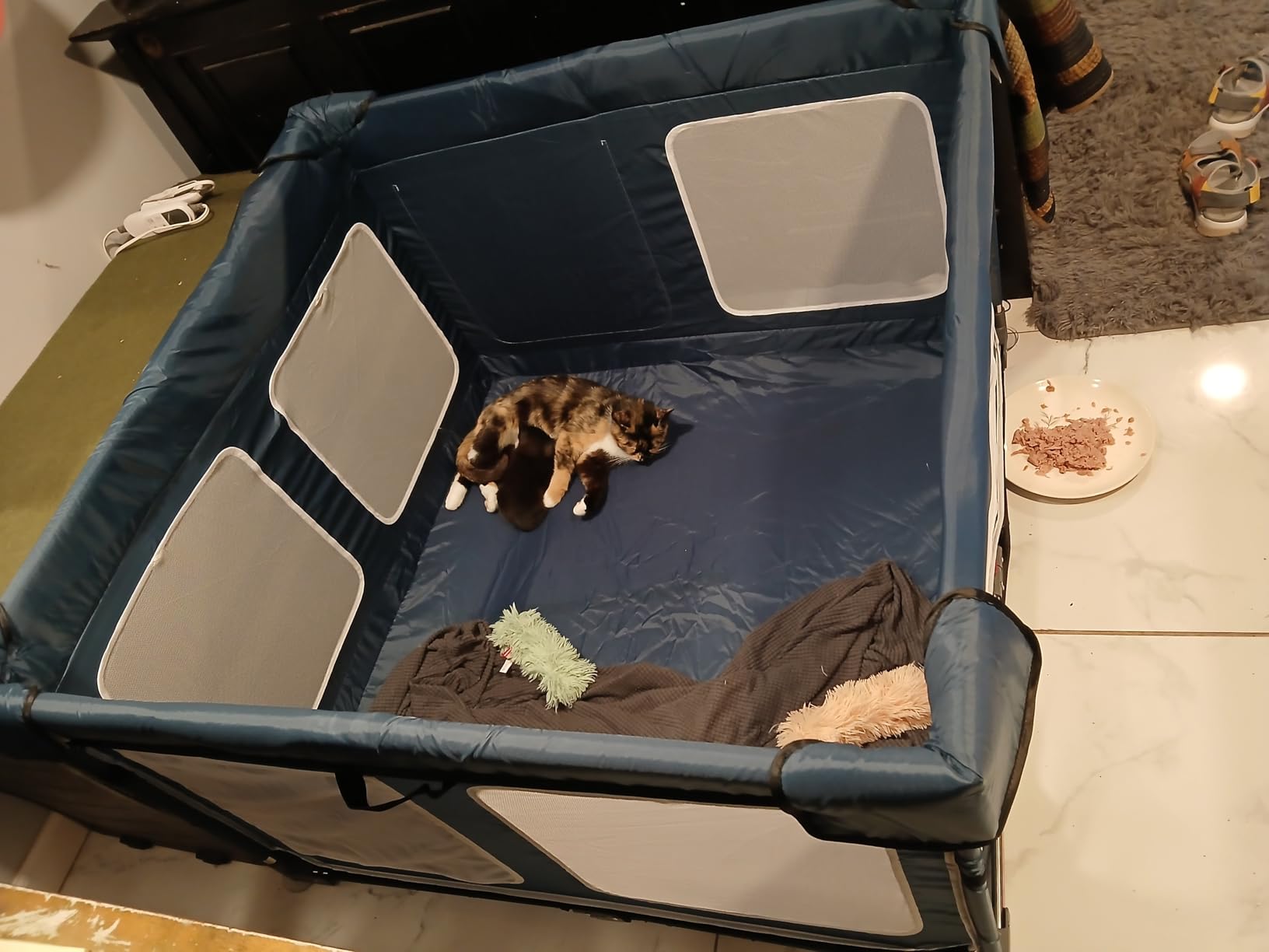 LOOBANI Foldable Whelping Box for Dogs, 1 Min Setup, 43.3