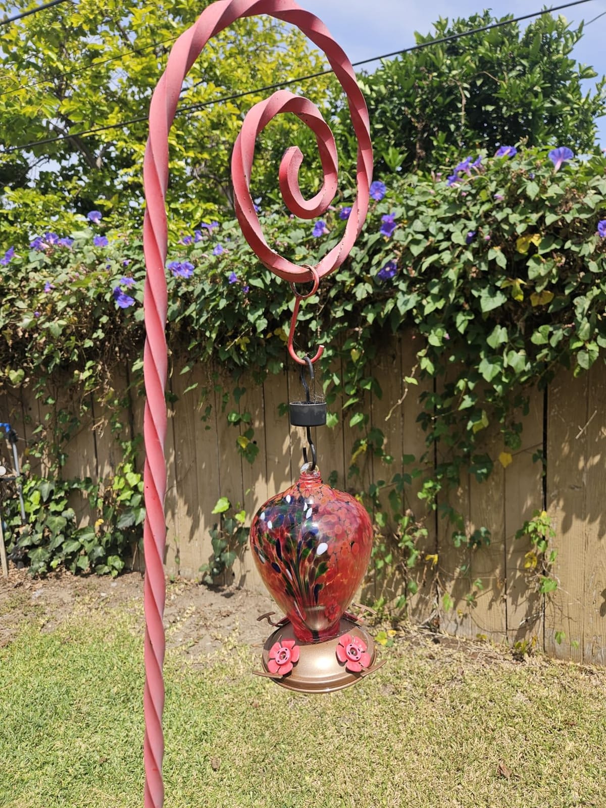 LUJII Smart Hummingbird Feeder with Camera for Outdoor Hanging, Hand Blown Glass, Solar WiFi Feeder with Live View App, 6 Feeding Ports, Leak-Resistant Design, Ant Moat & Gift Box, 36 fl oz, Teal customer photo 2
