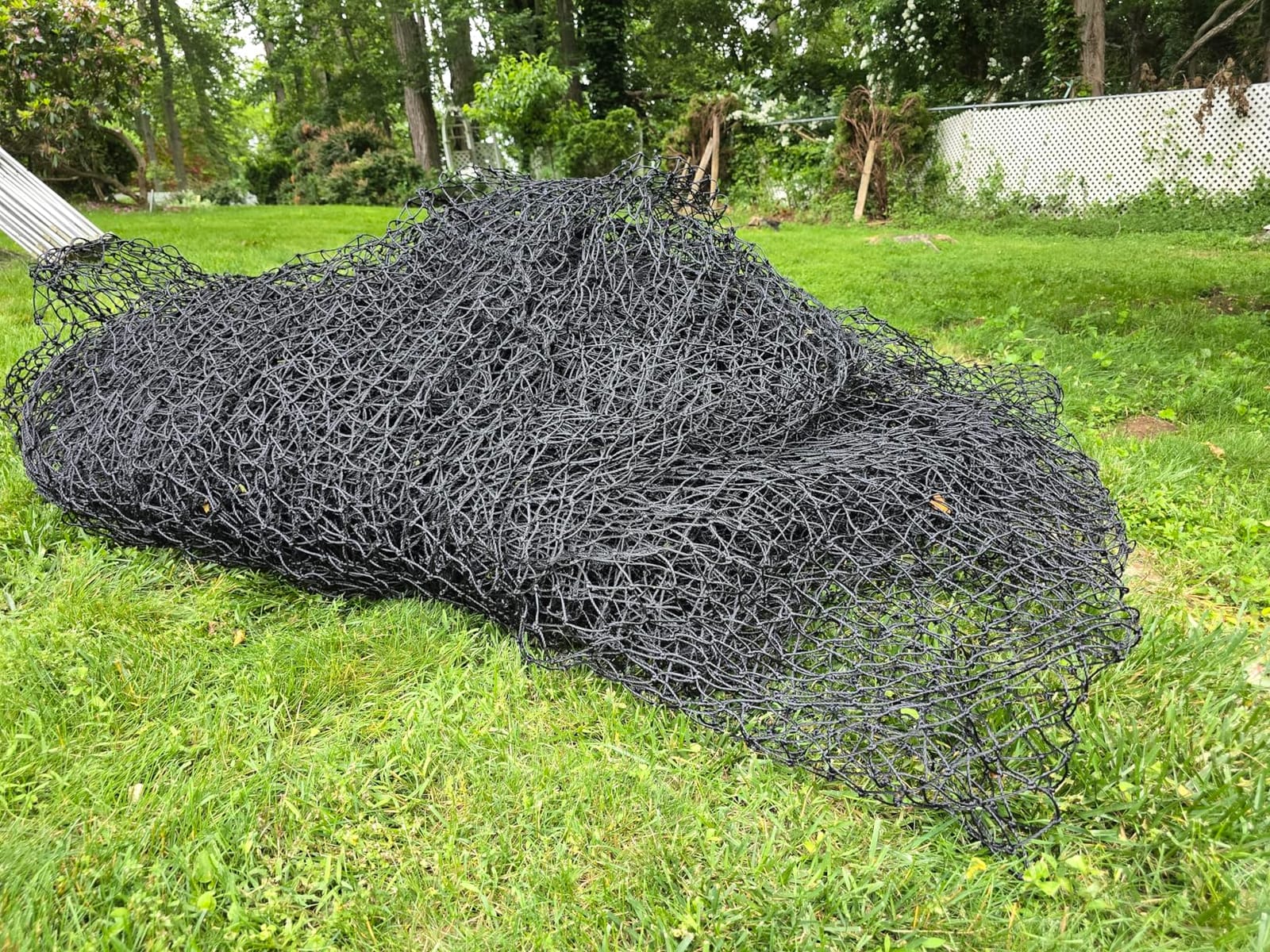 Baseball Batting Cage, 20/35/55/70FT Baseball Nets for Batting Cage,Baseball and Softball Batting Cage Nets for Pitching Training, Outdoor Backyard Batting Cage with Frame customer photo 1