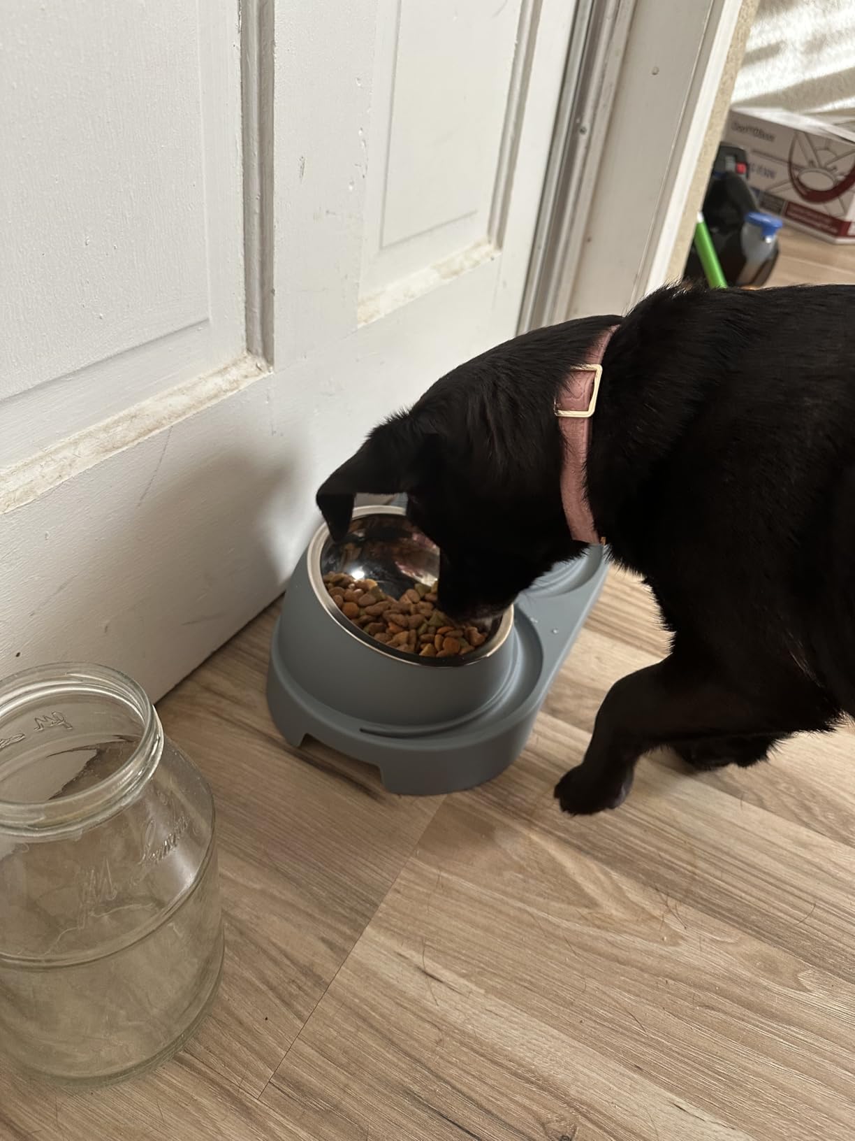 Automatic Cat Feeder for Wet Food, Smart Dual-Temp Semiconductor customer photo 1