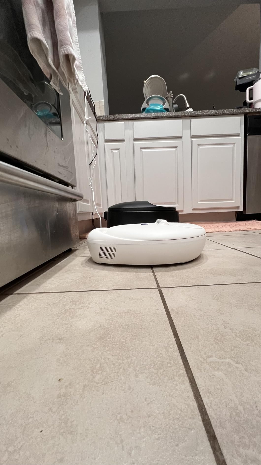 Automatic Cat Feeder for Wet Food, Smart Dual-Temp Semiconductor customer photo 2