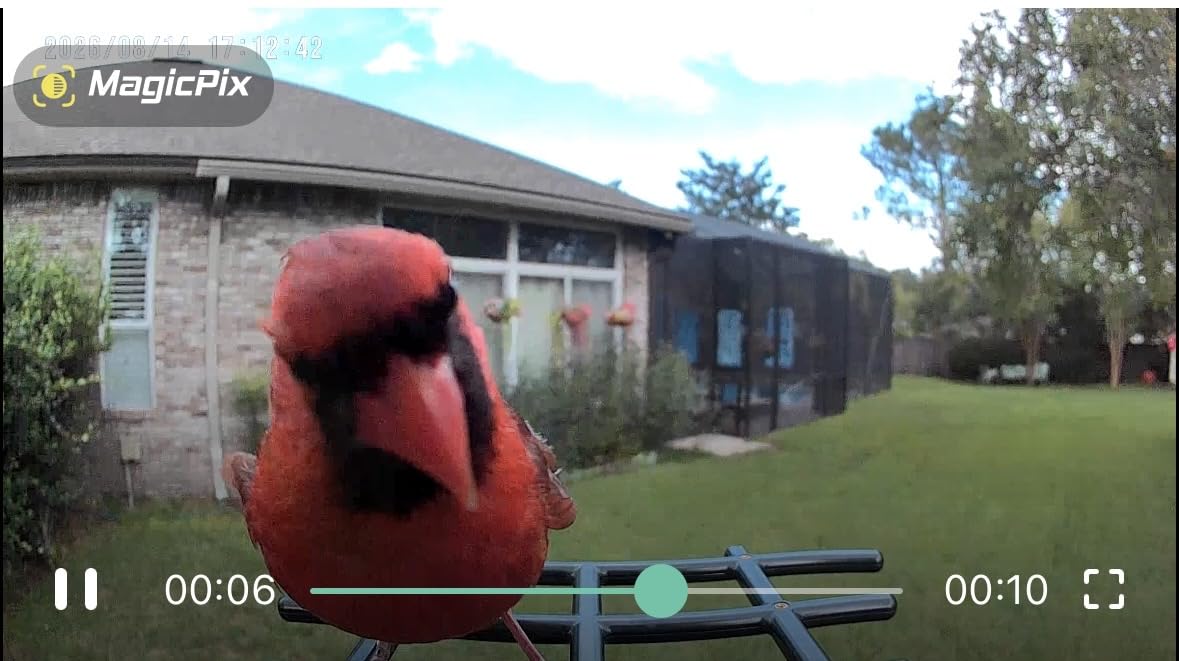 Smart Bird Feeder with Camera Solar Powered 2K HD Video, 10,000+ Species AI Recognition, Real-Time App Alerts, and Weatherproof Design for Effortless Birdwatching, Gift for Bird Lovers, Brown customer photo 1