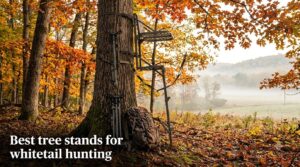 Best tree stands for whitetail hunting
