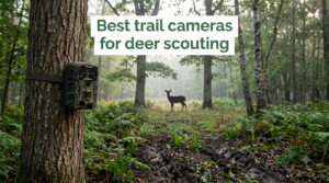 Best trail cameras for deer scouting