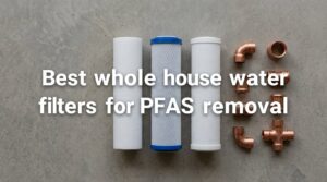 Best whole house water filters for PFAS removal