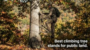 Best climbing tree stands for public land