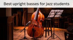 Best upright basses for jazz students