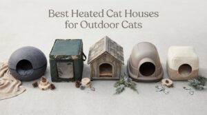 Best Heated Cat Houses for Outdoor Cats