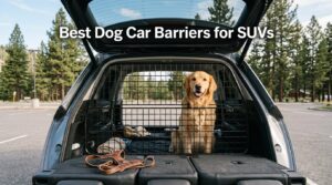 Best Dog Car Barriers for SUVs