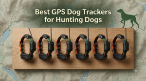 Best GPS Dog Trackers for Hunting Dogs