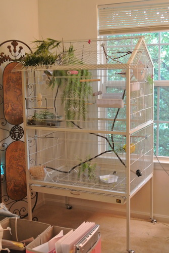 Prevue Pet Products Steel Bird Flight Cage with Wheels - Black, Large customer photo 1