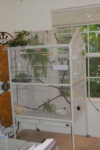 Prevue Pet Products Steel Bird Flight Cage with Wheels - Black, Large customer photo 2