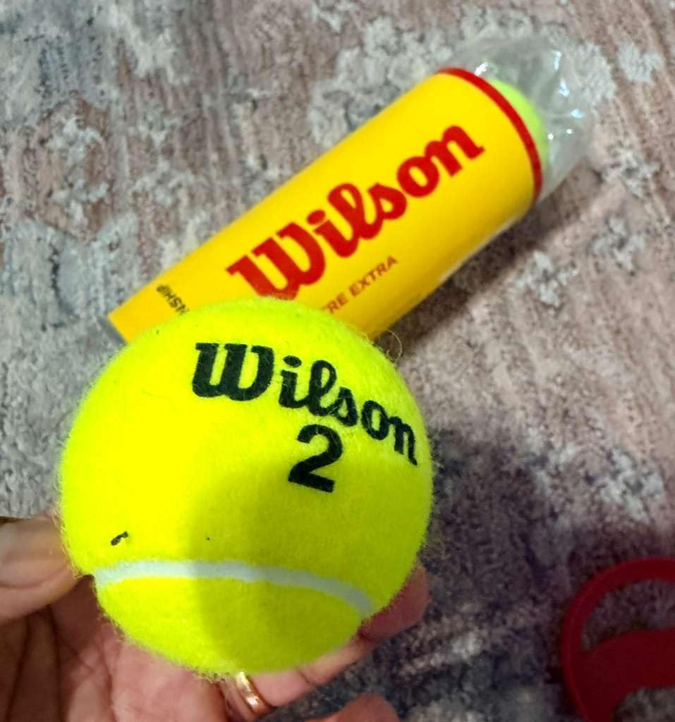 WILSON Championship Tennis Balls customer photo 2