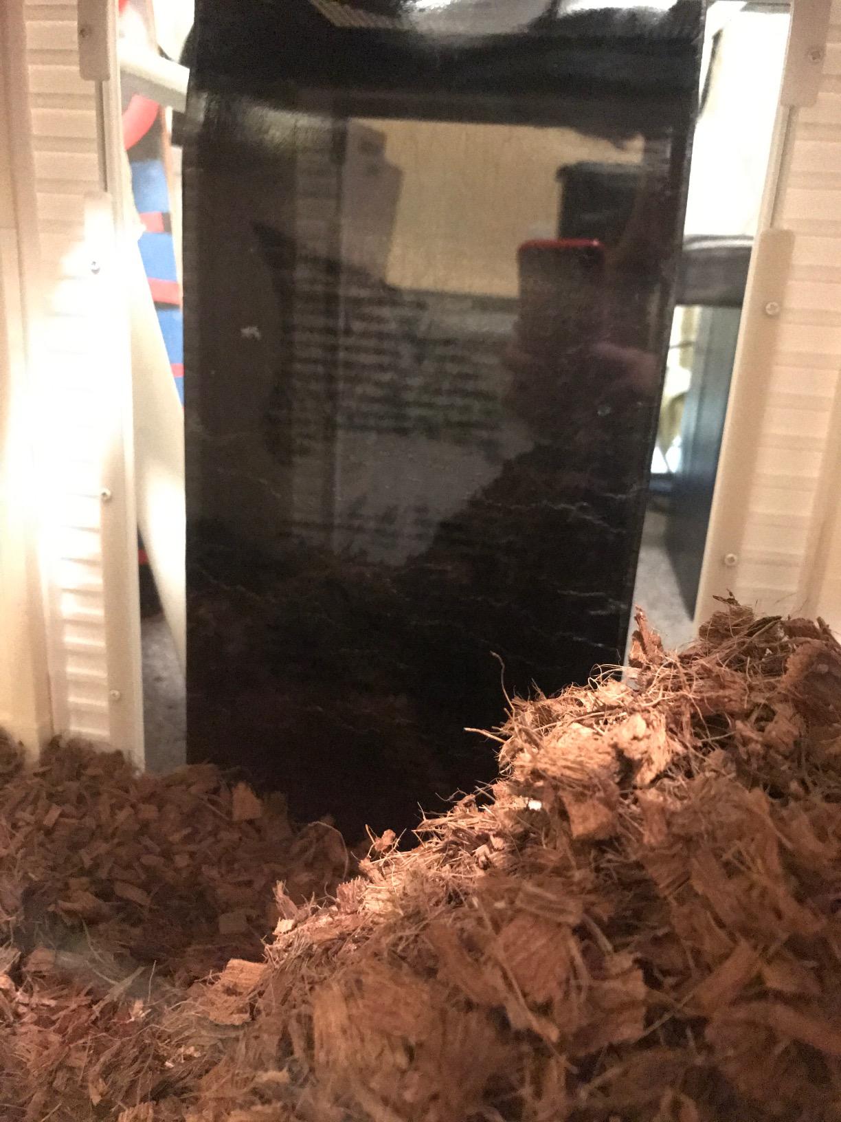 Zilla Heat Mat for Reptiles, Terrarium Heater, Small, 8 Watt customer photo 1