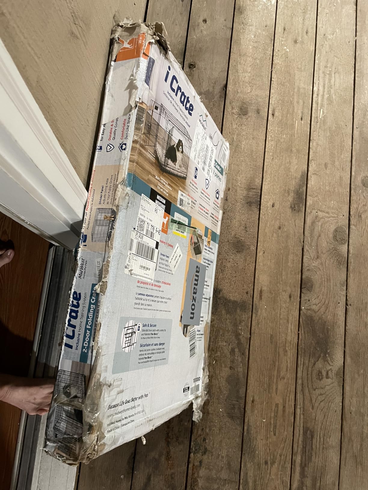 Solutions by Midwest 54-Inch Double Door Crate, Giant Breed Dogs, 100+ lbs customer photo 1