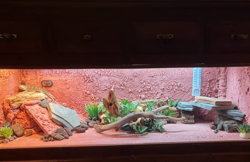 Zoo Med ReptiSun T5 HO Terrarium Hood (48