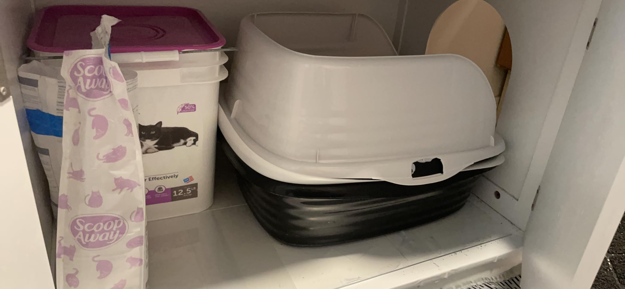 Arm & Hammer Rimmed Open Cat Litter Box, Wave with High Sides, High Sided Cat Litter Pan, Made in USA, Gray customer photo 2