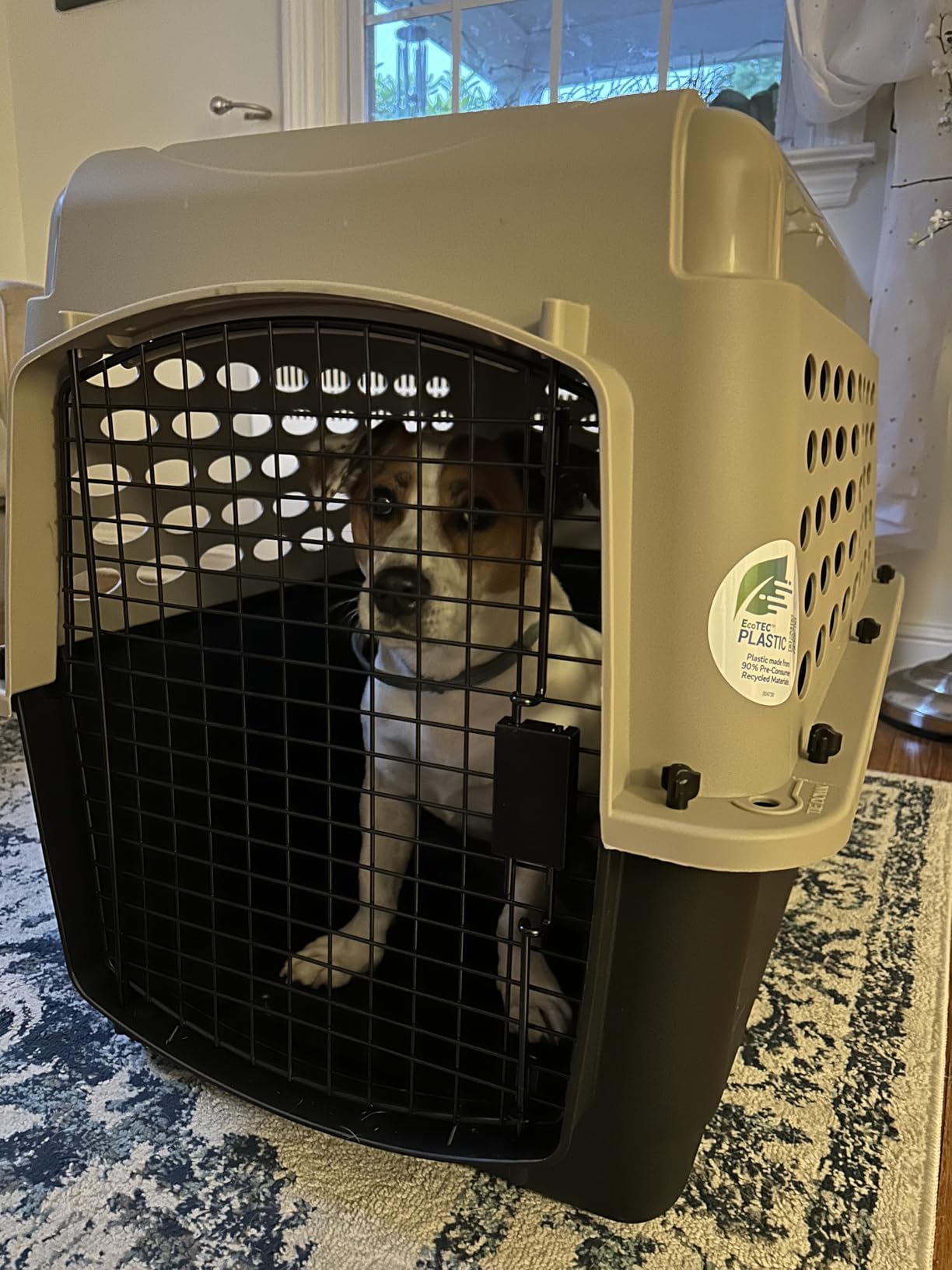 Petmate Vari Dog Kennel, Carrier for Large Dogs, 40in, Taupe and Black customer photo 1