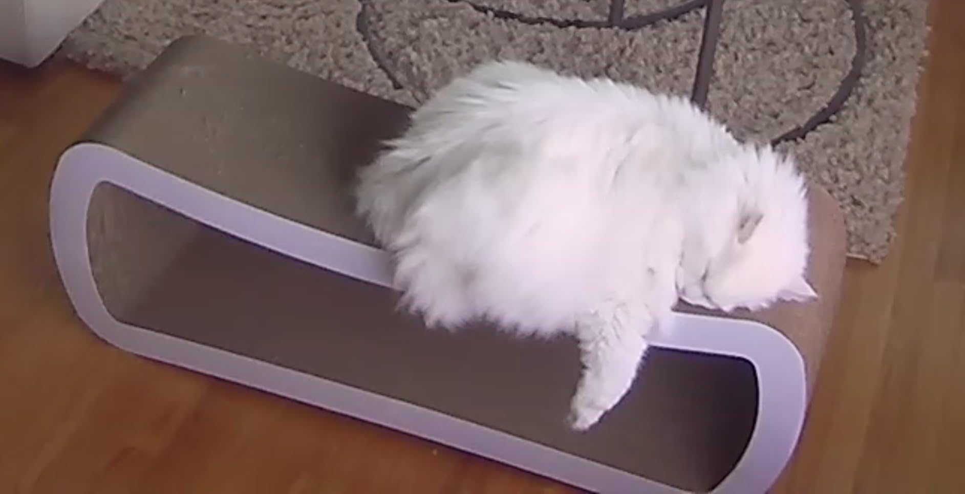 PetFusion Jumbo Cat Scratcher Lounge (99 x 28 x 36 cm, Cloud White). Superior Cardboard & Construction, significantly outlasts cheaper alternatives. customer photo 1