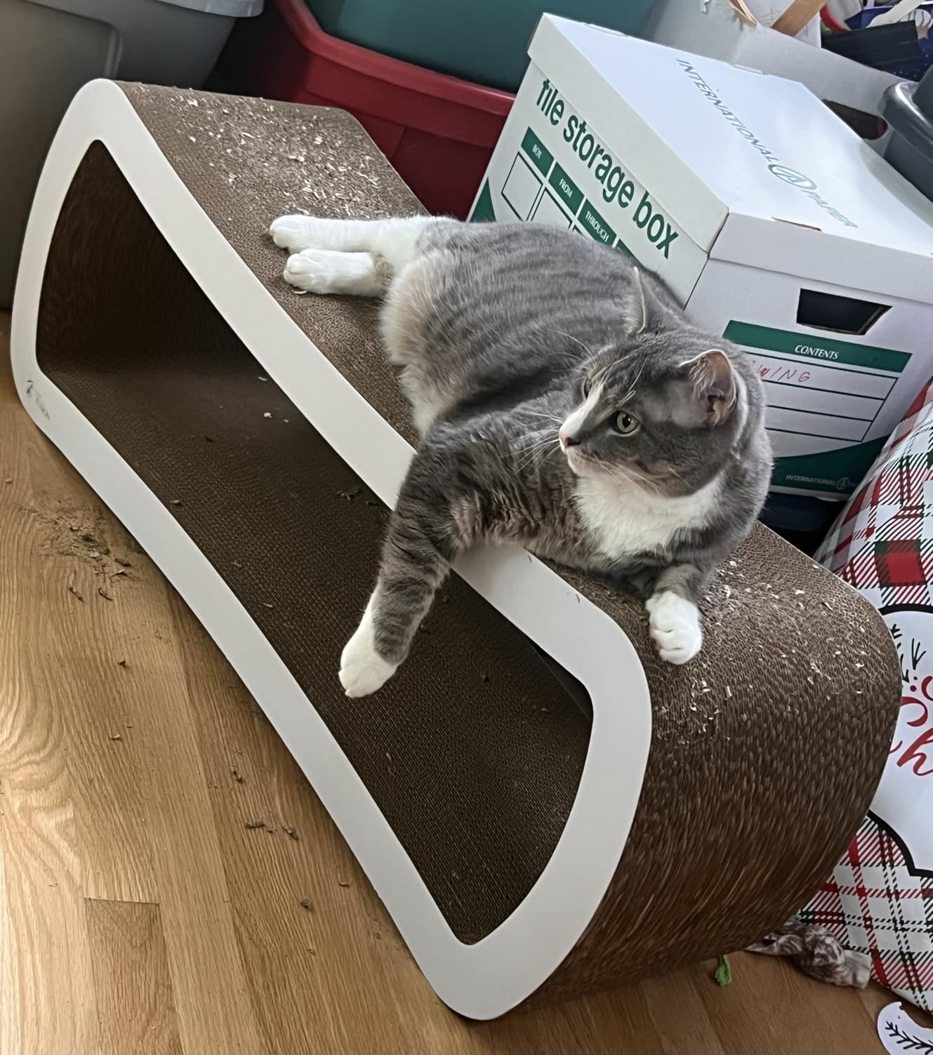 PetFusion Jumbo Cat Scratcher Lounge (99 x 28 x 36 cm, Cloud White). Superior Cardboard & Construction, significantly outlasts cheaper alternatives. customer photo 2
