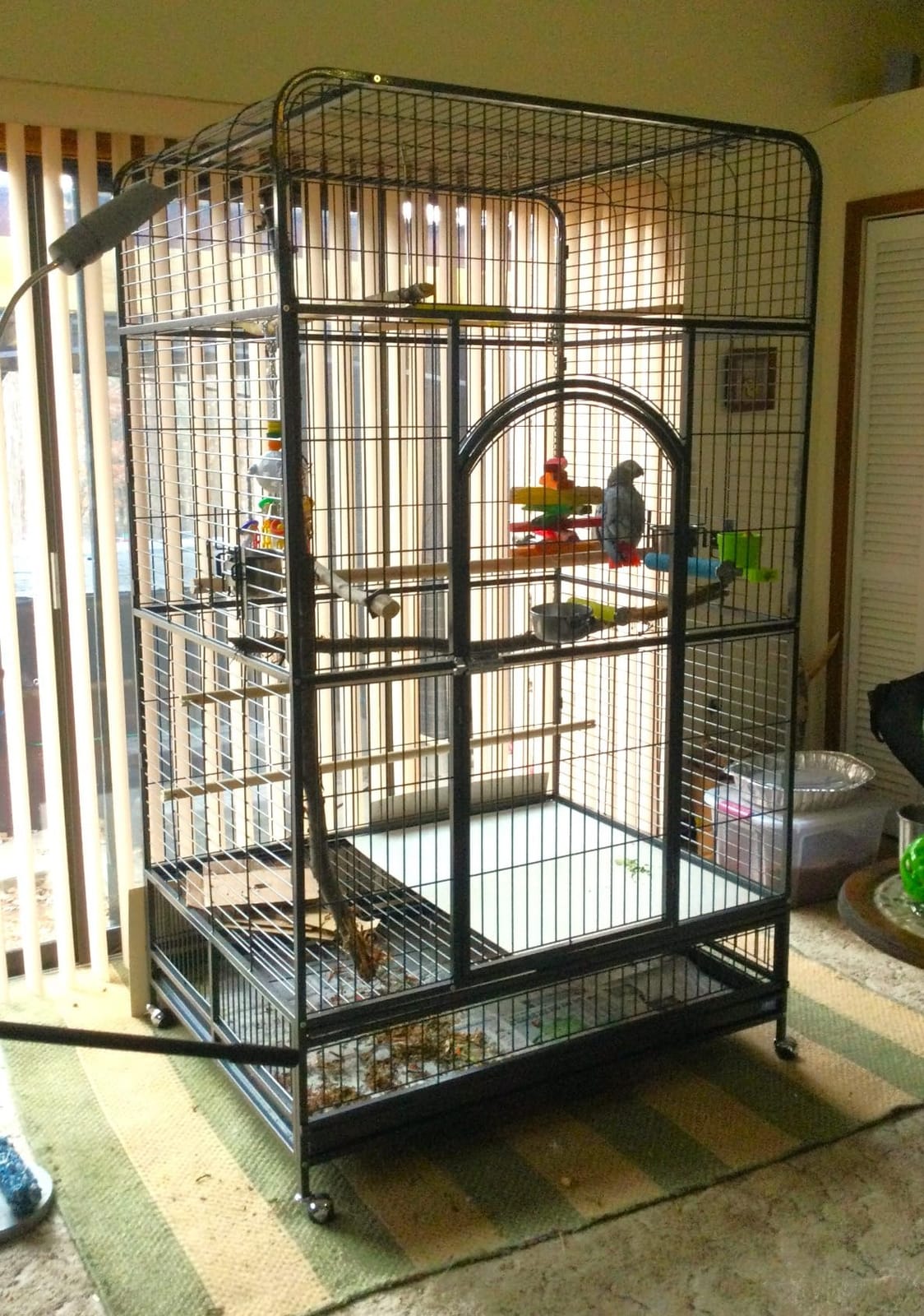 Prevue Pet Products Empire Bird Cage, X-Large, Black Hammertone,46