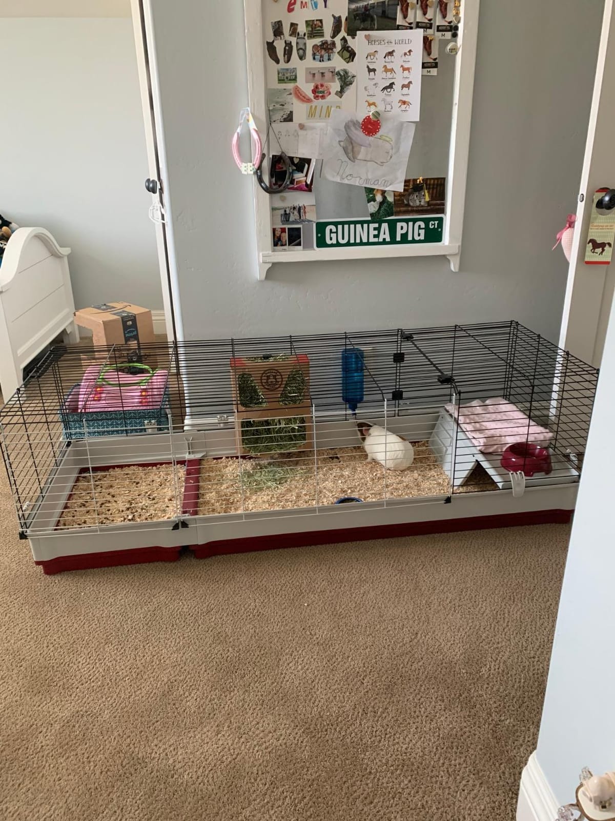 Ferplast Krolik XXL Rabbit Cage w/Wire Extension | Rabbit Cage Includes All Accessories & Measures 63.8L x 23.62W x 19.68H Inches | 1-Year Warranty customer photo 2
