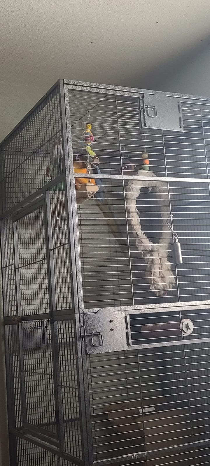 XXL Large Bird Flight Cage Parrot Aviary H80xw35.5xd35.5 customer photo 2
