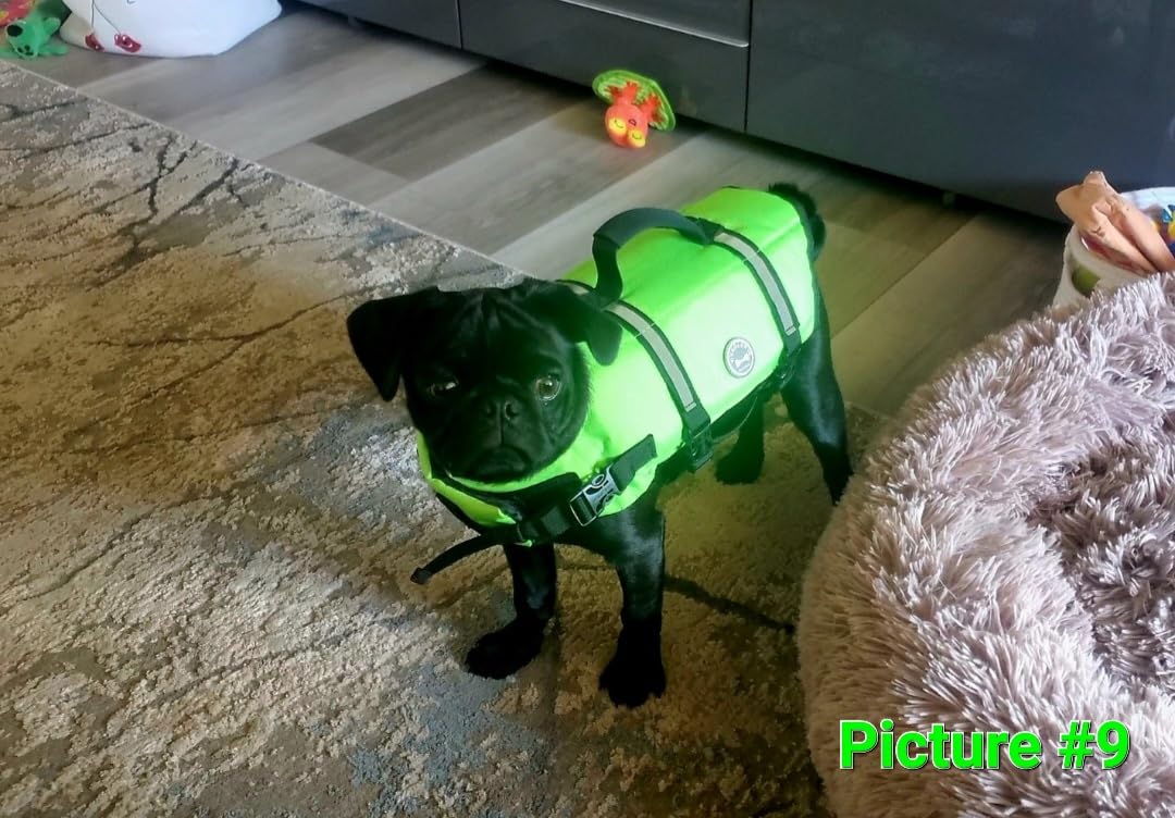 VIVAGLORY Dog Life Vest Rip Stop Dog Swim Vest, M, Bright Yellow customer photo 2