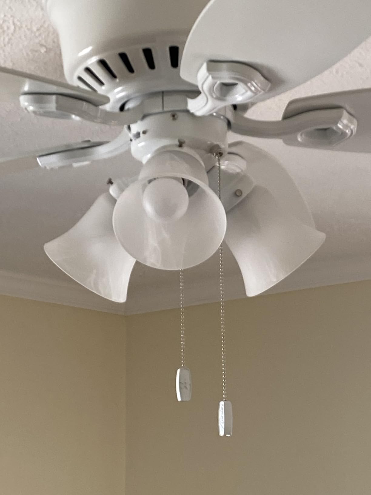 Hunter Builder, Indoor, Ceiling Fan, with LED Lights, 52 inch, New Bronze customer photo 2