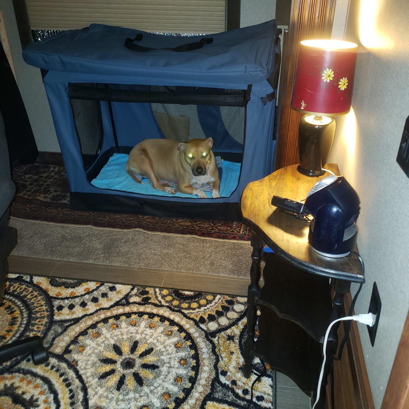 EliteField 3-Door Soft Dog Crate with Bed & Carrying Bag (2-Year Warranty) customer photo 1