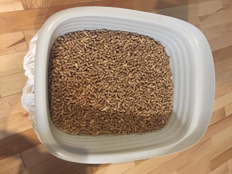 Arm and Hammer Large Sifting Cat Litter Box with Microban customer photo 1