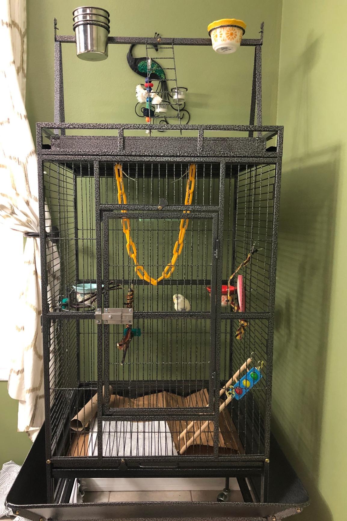 Nova Microdermabrasion 68-Inch Height Wrought Iron Standing Large Play Top Bird Cage for African Grey Small Quaker Parrot Cockatiel Sun Parakeet Green Cheek Conure Dove Budgie Lovebird customer photo 2