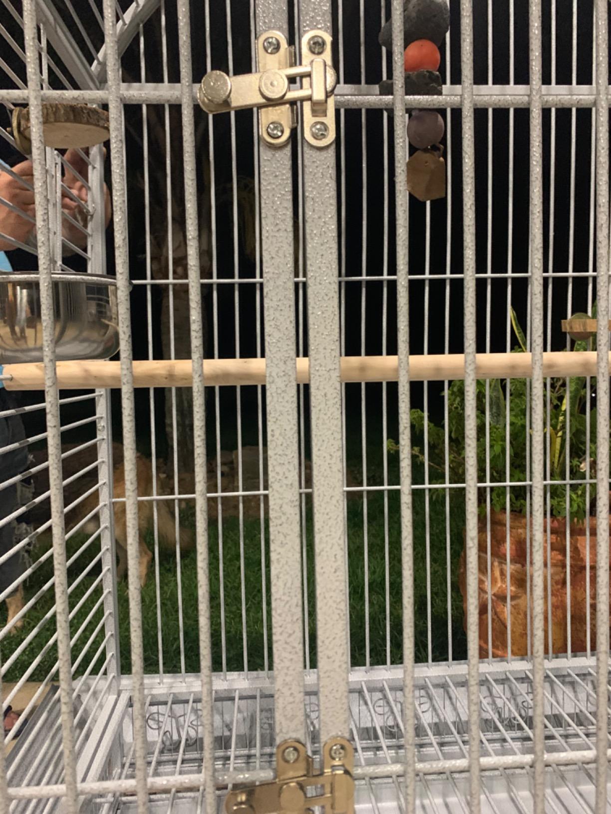 XX Large DomeTop Wrought Iron Bird Parrot Cage, 40