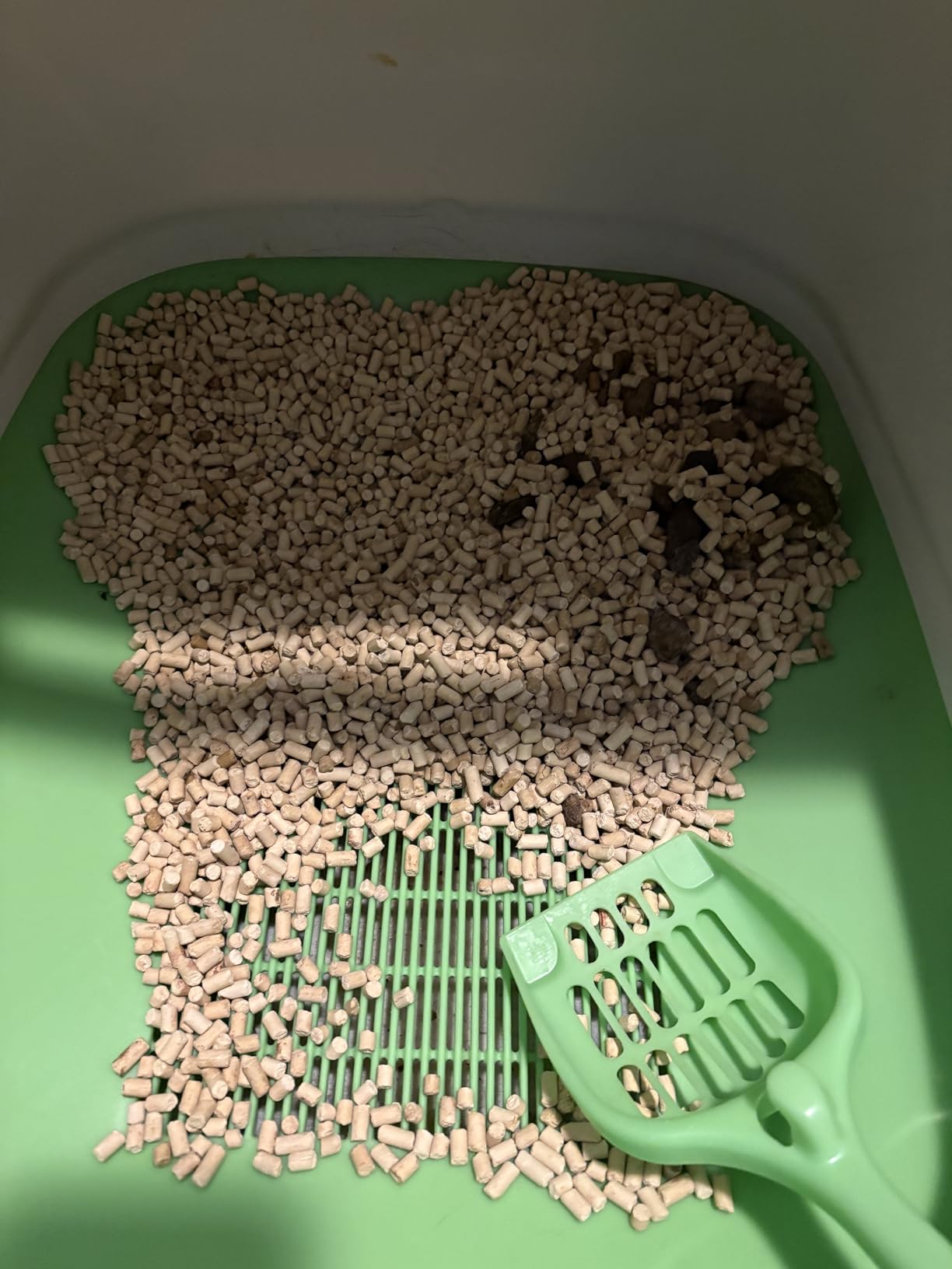 Purina Tidy Cats Breeze Covered Cat Litter Box System Kit customer photo 2
