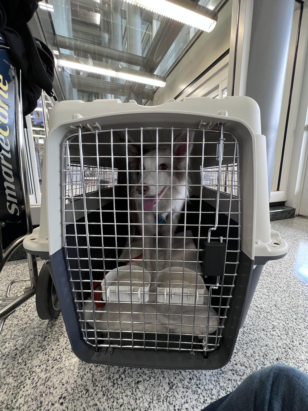SportPet Airline Compliant X-LARGE 32.25