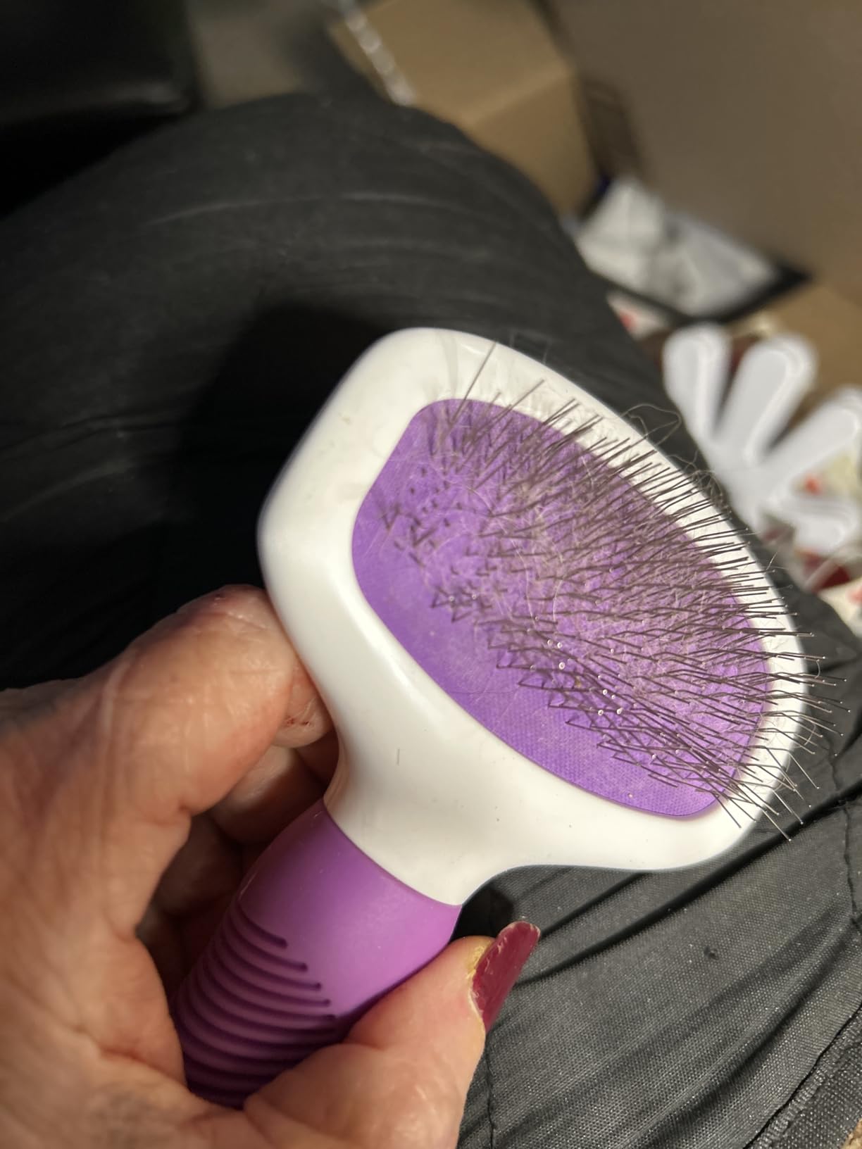 Poodle Pet Slicker Brush - For Dogs, Cats, Rabbits - Matted/Loose Fur, Knots - Suitable for Doodle/Goldendoodle Grooming and Shredding Short/Long Hair customer photo 1