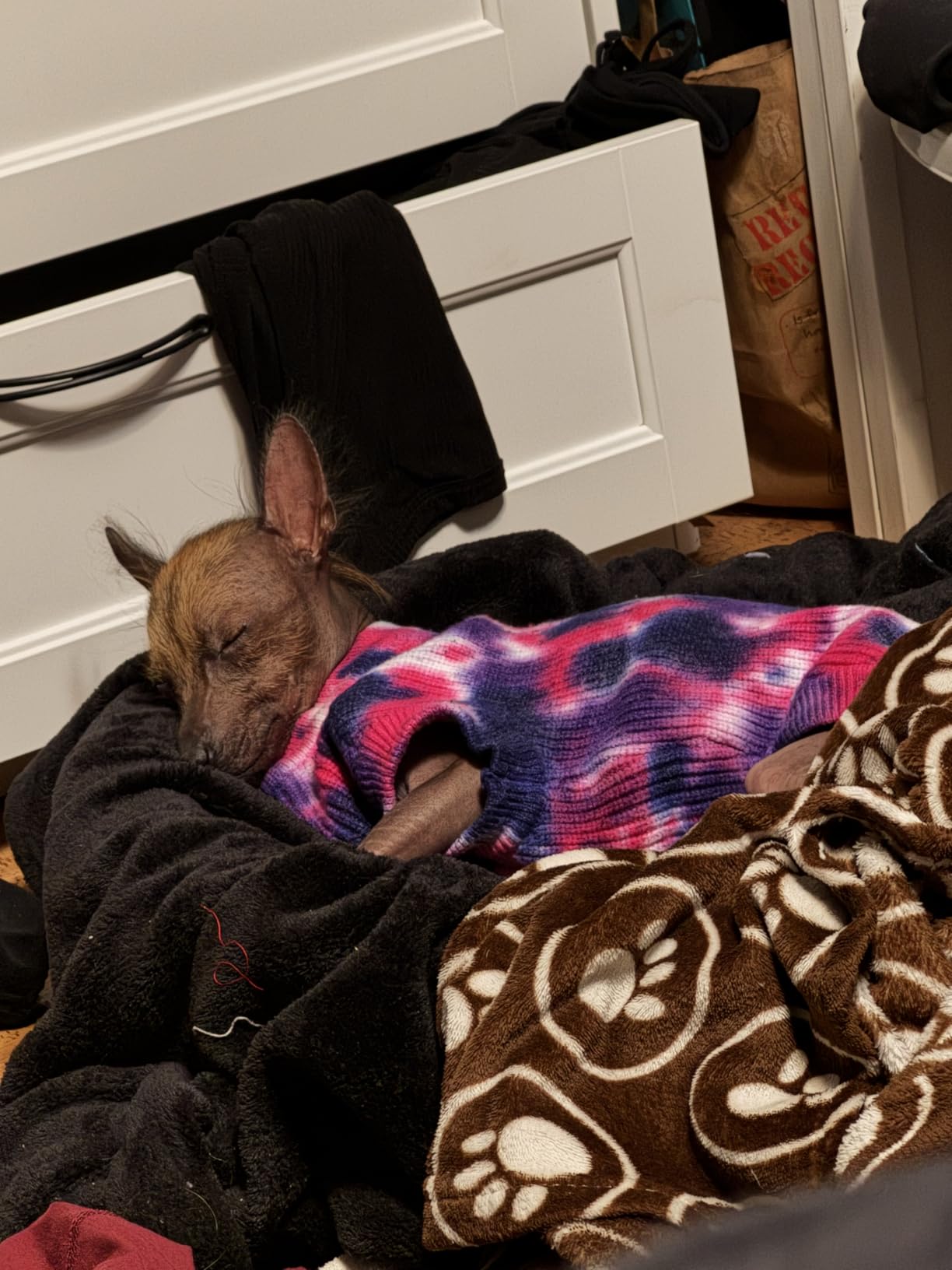 K&H Heated Dog Bed, Thermo-Snuggly Sleeper Indoor, Safety Listed, Medium 6W customer photo 2