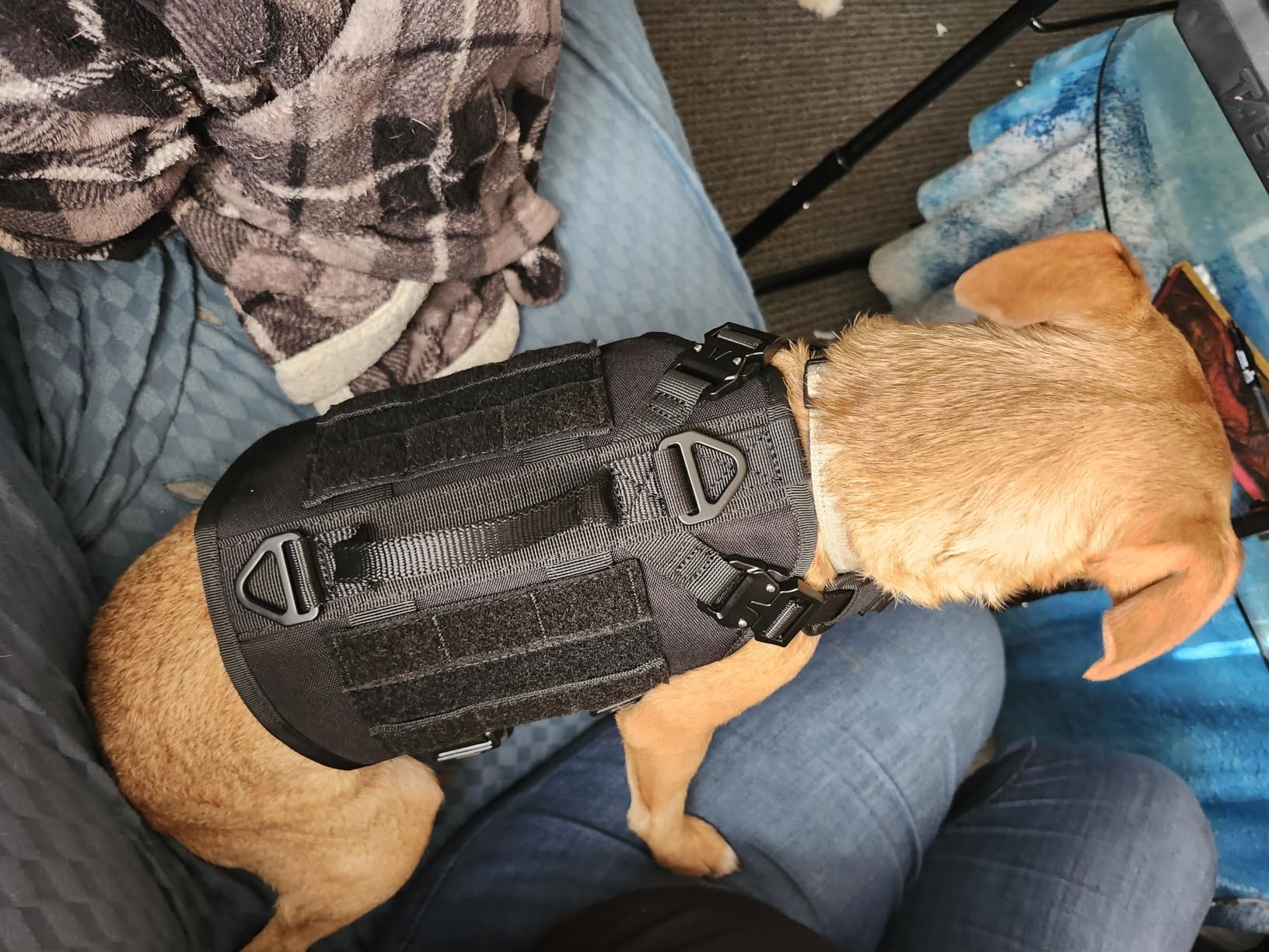 ICEFANG No Pull Tactical Dog Harness for Large Dogs,Adjustable Dog Vest customer photo 2