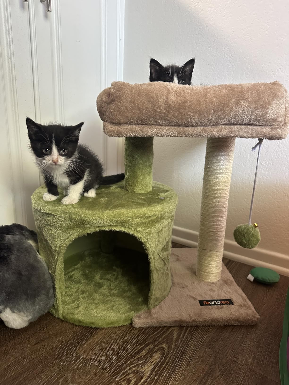 Feandrea Cat Tree, 18.5-in Small Cat Tower, Cute Kittens Condo, Light Gray customer photo 2